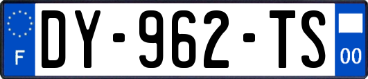 DY-962-TS