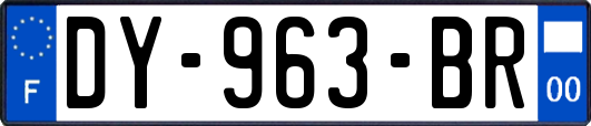DY-963-BR