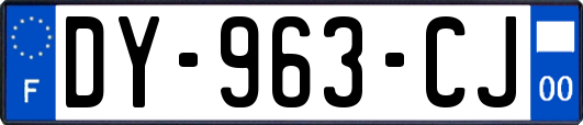 DY-963-CJ