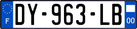 DY-963-LB