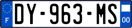 DY-963-MS