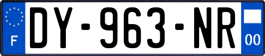 DY-963-NR