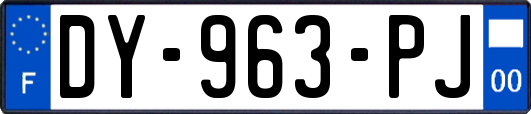 DY-963-PJ