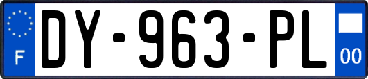DY-963-PL