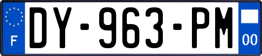 DY-963-PM