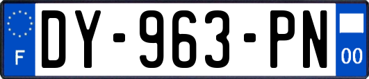 DY-963-PN