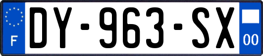 DY-963-SX