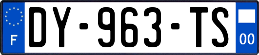 DY-963-TS