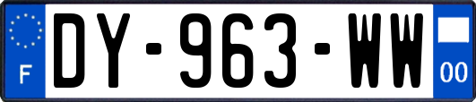 DY-963-WW