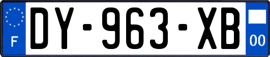 DY-963-XB