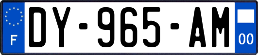 DY-965-AM