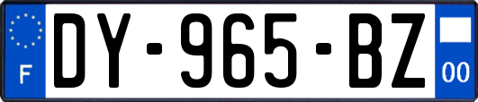 DY-965-BZ