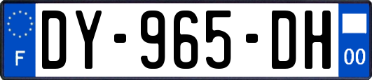 DY-965-DH