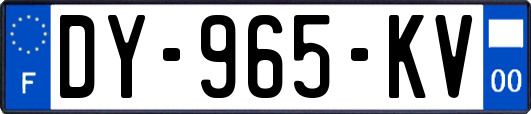 DY-965-KV