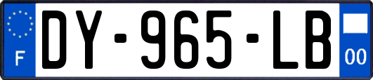 DY-965-LB