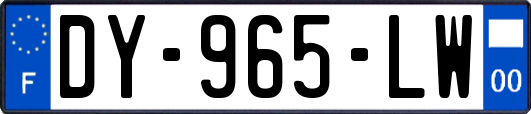 DY-965-LW