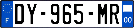 DY-965-MR
