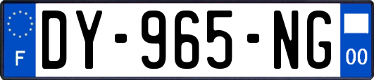 DY-965-NG