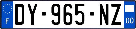 DY-965-NZ