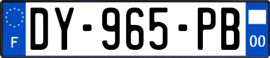 DY-965-PB