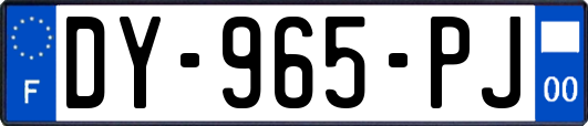 DY-965-PJ