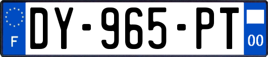 DY-965-PT