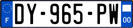 DY-965-PW