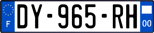 DY-965-RH