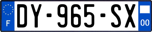 DY-965-SX