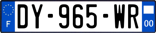 DY-965-WR