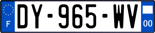 DY-965-WV