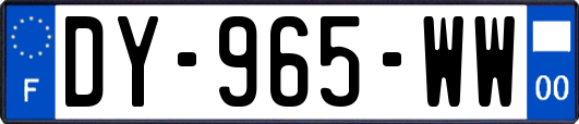 DY-965-WW