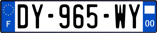 DY-965-WY