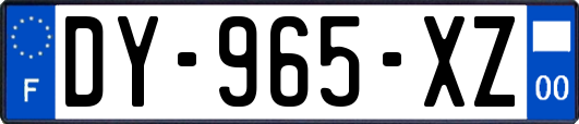 DY-965-XZ