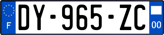 DY-965-ZC