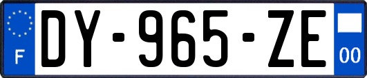 DY-965-ZE