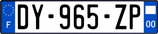 DY-965-ZP