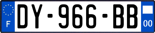 DY-966-BB