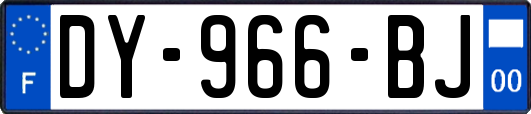 DY-966-BJ