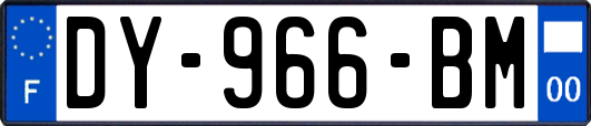 DY-966-BM