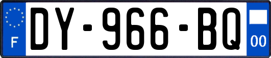 DY-966-BQ
