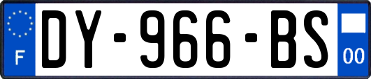 DY-966-BS