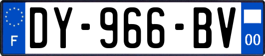 DY-966-BV