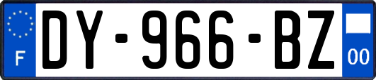 DY-966-BZ