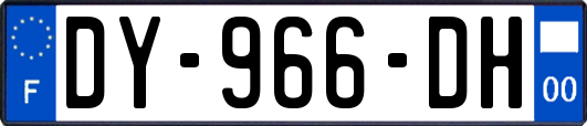 DY-966-DH