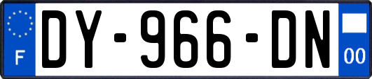 DY-966-DN