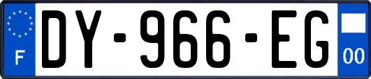 DY-966-EG