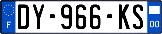 DY-966-KS