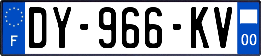 DY-966-KV