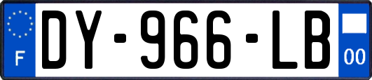 DY-966-LB